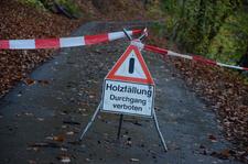 Waldbesitzerverband warnt vor Betreten des Waldes