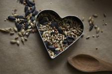 NABU: Ein Valentins-Herz aus Vogelfutter