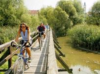 Belebendes "Thermenradeln" vertreibt die Wintermüdigkeit!