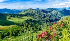 Sommerwandern für die Sinne – in den Allgäuer Hörnerdörfern