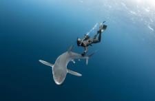 Fearless free diver Fred Buyle partners with Ulysse Nardin