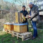 Nassauische Heimstätte übernimmt Patenschaft für Honigbienen