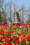 Themenjahr im Blumenpark Keukenhof