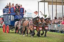 Historische Pferde-Omnibusse im Parcours