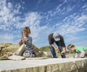 Zwischen Urvögeln, Ritterburgen und Kletterfelsen