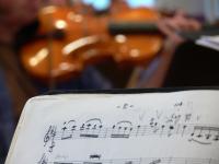 Sommerserenaden mit den Musikern der Philharmonie Leipzig