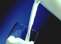 Milchmengen sinken