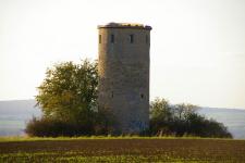 Deutsche Waldtage 2018: "Wandern mit andern"