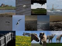 Intensive Fotokurse 2020 an der Nordsee