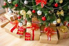Volltreffer unterm Tannenbaum: der Buchgutschein „to go“