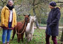 Tierische Geschenkideen aus dem Wildpark Schwarze Berge