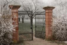 Gefahr des Astbruchs: Wegesperrung im Englischen Garten