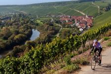 Wege zum Wein: Fünf Ideen für den Kurzurlaub im Fränkischen Weinland