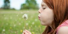 Heuschnupfen: Die Pollen sind los!