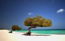 Aruba: Soul Beach Music Festival mit R. Kelly
