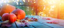 Das perfekte Ziel für den Wochenendausflug: Indian Summer