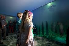 1 Million Besucher im ARCHAEORAMA