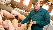 WLV-Präsident Beringmeier: "Verantwortliche müssen Tierwohl und Tierschutz einen höheren Stellenwert beimessen"