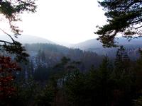 Verborgene Schätze im Nationalpark - von wilden Rittersleut zum UNESCO-Weltnaturerbe