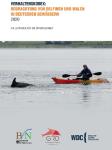 Kaum Ruhe für Delfin in Eckernförde