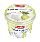 Genuss in XXL: Ehrmann Frucht Pudding im 750 g-Becher