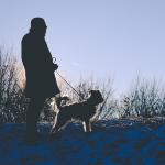 Fotoausstellung: "Ein Mann. Ein Hund. Zwei Apfelkuchen"