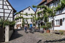 Neue Radkarte "Radwandern in der Südpfalz" erschienen