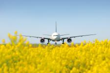 Summer Holidays in 2020: Flights Resumed to Many Popular Destinations