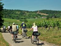 Begleitete Pedelec Probefahrten am Wochenende und bei Radtouren mit genussradeln-pfalz