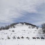 Wo der Schnee zu Hause ist