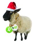 "Gemeinsam Freude schenken!": Weihnachtsgeschenke shoppen und Gutes tun