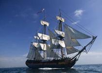 Auf den Spuren von Captain Hook, Blackbeard und Jack Sparrow