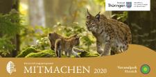 123 Veranstaltungen locken in den Nationalpark Hainich