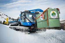Bärin Jambolina erhält im Arosa Bärenland ein neues Zuhause