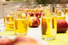 Schwäbisches Streuobstparadies lädt zur dritten Schwäbischen Mostmeisterschaft ein