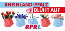 Rheinland-Pfalz blüht auf
