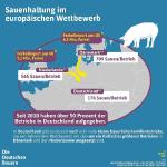Sauenhaltung muss Zukunft in Deutschland haben