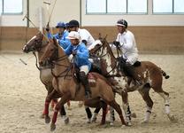 Polo, Pferde, Partylaune