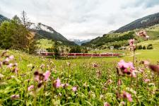 Auf Schienen-Safari mit der Rhätischen Bahn: Neue Graubünden-Rundfahrt mit 50 Prozent Rabatt für Freizeitaktivitäten entlang der Strecke