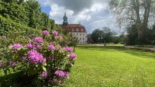 Blütenmeer im Schlosspark Lichtenwalde - Blühende Rhododendren und Sommerflor erfreuen Besucher