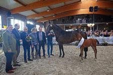 Besucheransturm auf Hof Sosath am Oster-Wochenende