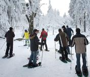 Bretterspaß, Schneeschuhwandern & Winterlabyrinthe