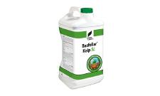 Basfoliar® Kelp SL: neues Pflanzenhilfsmittel aus natürlichem Algenkonzentrat