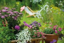Was mache ich wann im Garten?