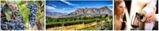 Mit Enchanting Travels die Welt des Weins entdecken
