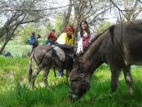Eselwanderung und Wildkräuterführung
