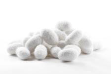 NEOSILK® - Completely new type 1 collagen for the use in cosmetics