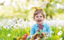 Osterhase zu Besuch bei Pflanzen-Kölle