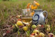 Most und Obstwein selbst gemacht!