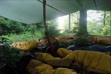 Vortrag & Forum- Wildnisbildung im National park Kellerwald- Edersee